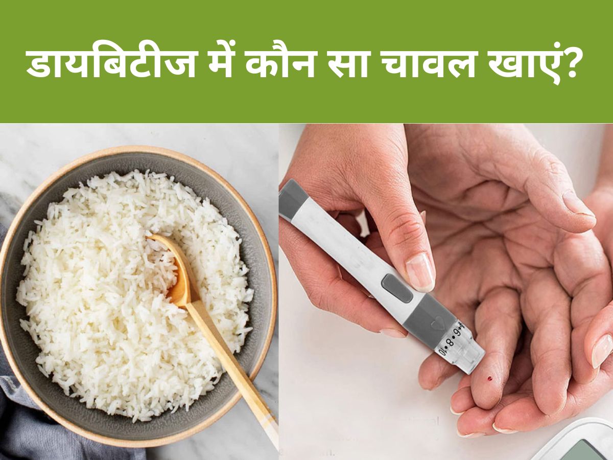 Type 2 Diabetes Patients Should Try Black Rice Instead Of Brown and