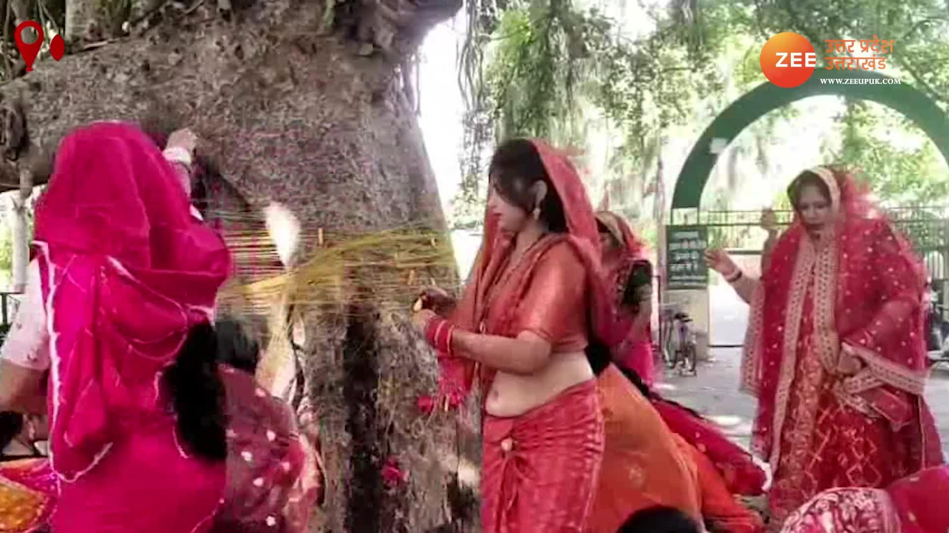 Vat Savitri vrat 2023 Married women worshiping banyan tree long life of