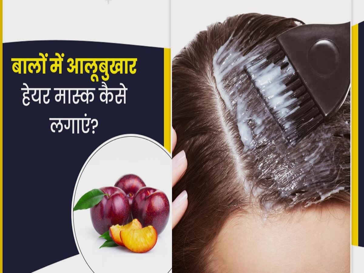 Plum Hair Mask To Get Thick And Strong Hair Hindi News, बालों को घना