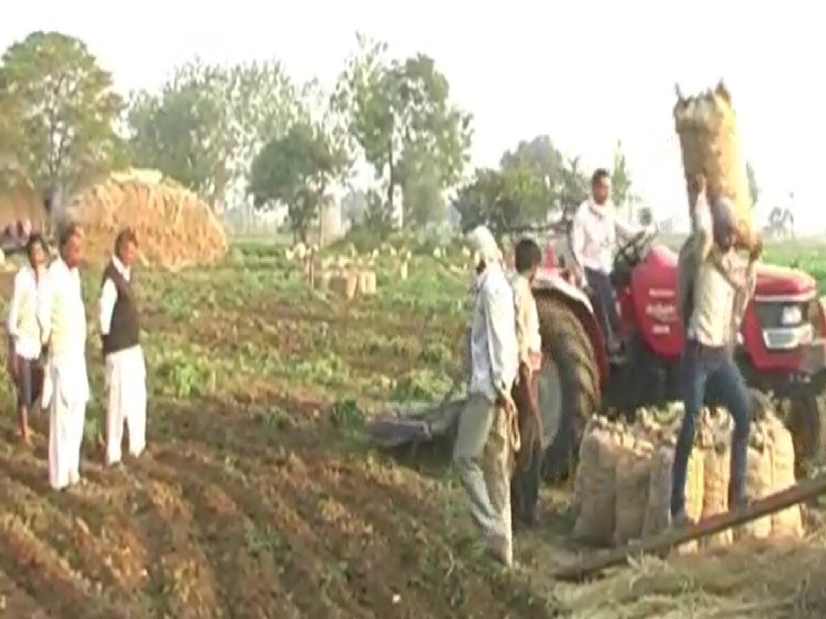 Haryana Farmer News: भावांतर भरपाई योजना किसानों के लिए बनी वरदान, ऐसे घाटा पूरा कर रही सरकार