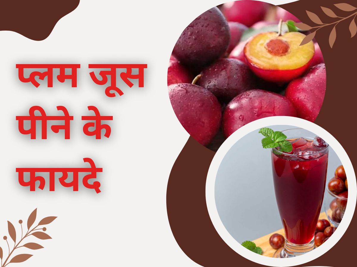 plum juice for immunity boost in summers also good for digestion know method Summers में