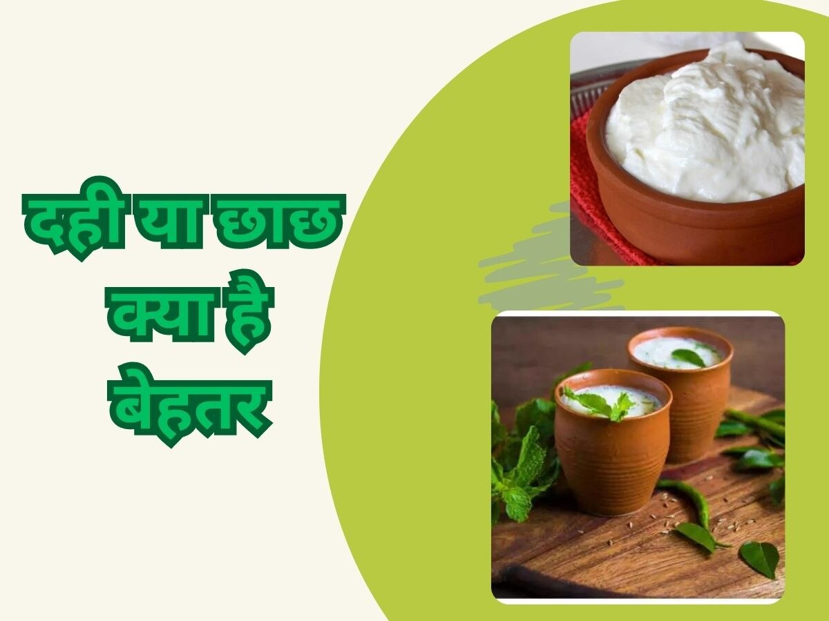 curd or buttermilk after meal in summers which is better for cool body