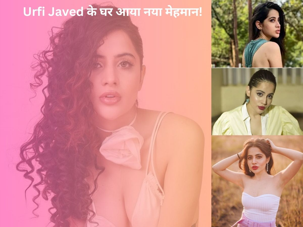 Urfi Javed के घर आया नया नन्हा मेहमान, नाम है 'रानी इंदुमति'! एक्ट्रेस ने खुद किया खुलासा Urfi Javed के घर आया नया नन्हा मेहमान, नाम है 'रानी इंदुमति'! एक्ट्रेस ने खुद किया खुलासा
