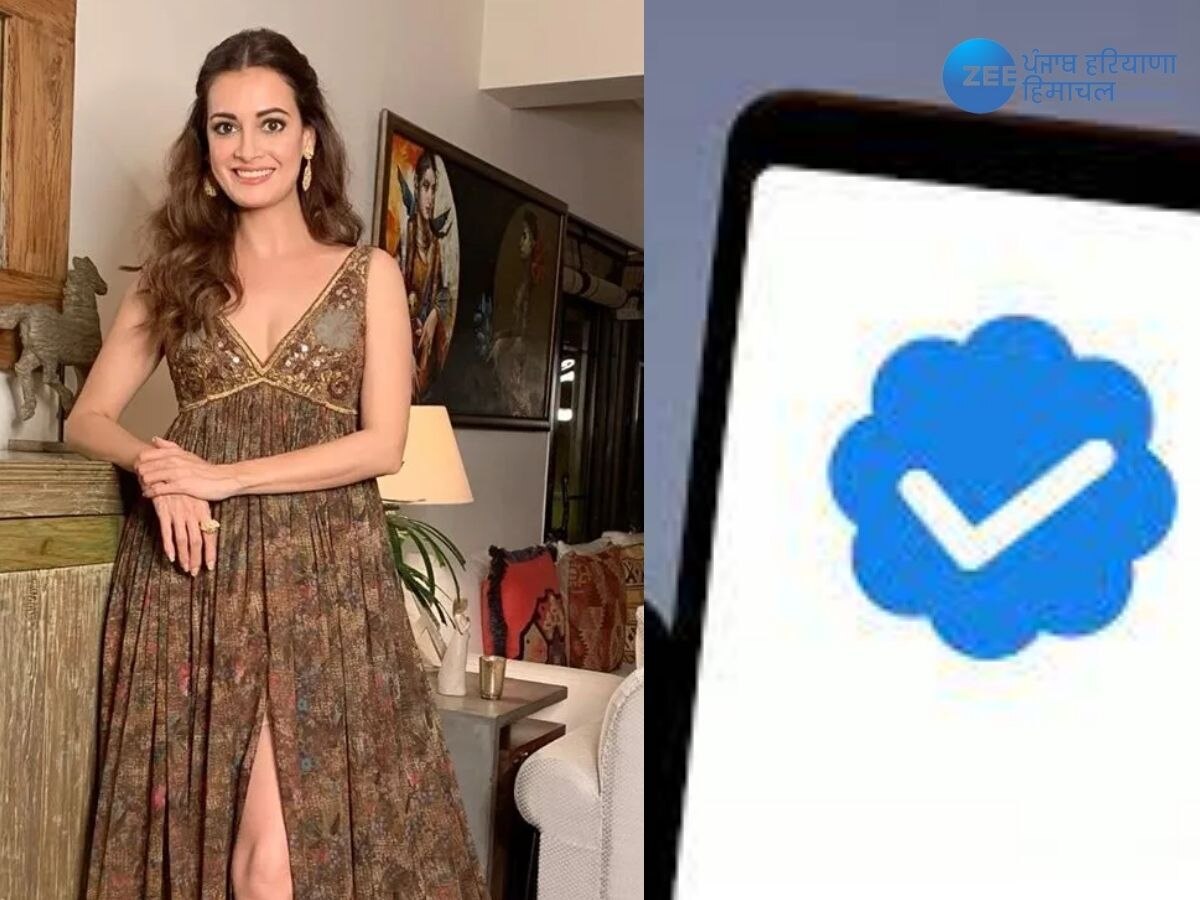 Dia Mirza Twitter Blue Tick: ਸਬਸਕ੍ਰਿਪਸ਼ਨ ਲੈਣ ਦੇ ਬਾਵਜੂਦ ਦੀਆ ਮਿਰਜ਼ਾ ਨੂੰ ਟਵਿੱਟਰ ਨੇ ਨਹੀਂ ਦਿੱਤਾ ਬਲੂ ਟਿੱਕ