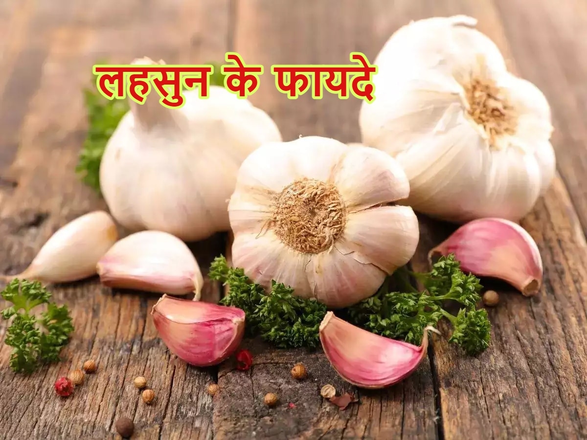 Garlic Benefits: रोजाना भोजन में लहसुन का सेवन आपको दिला सकता है कैंसर से छुटकारा, जानें अन्य फायदे