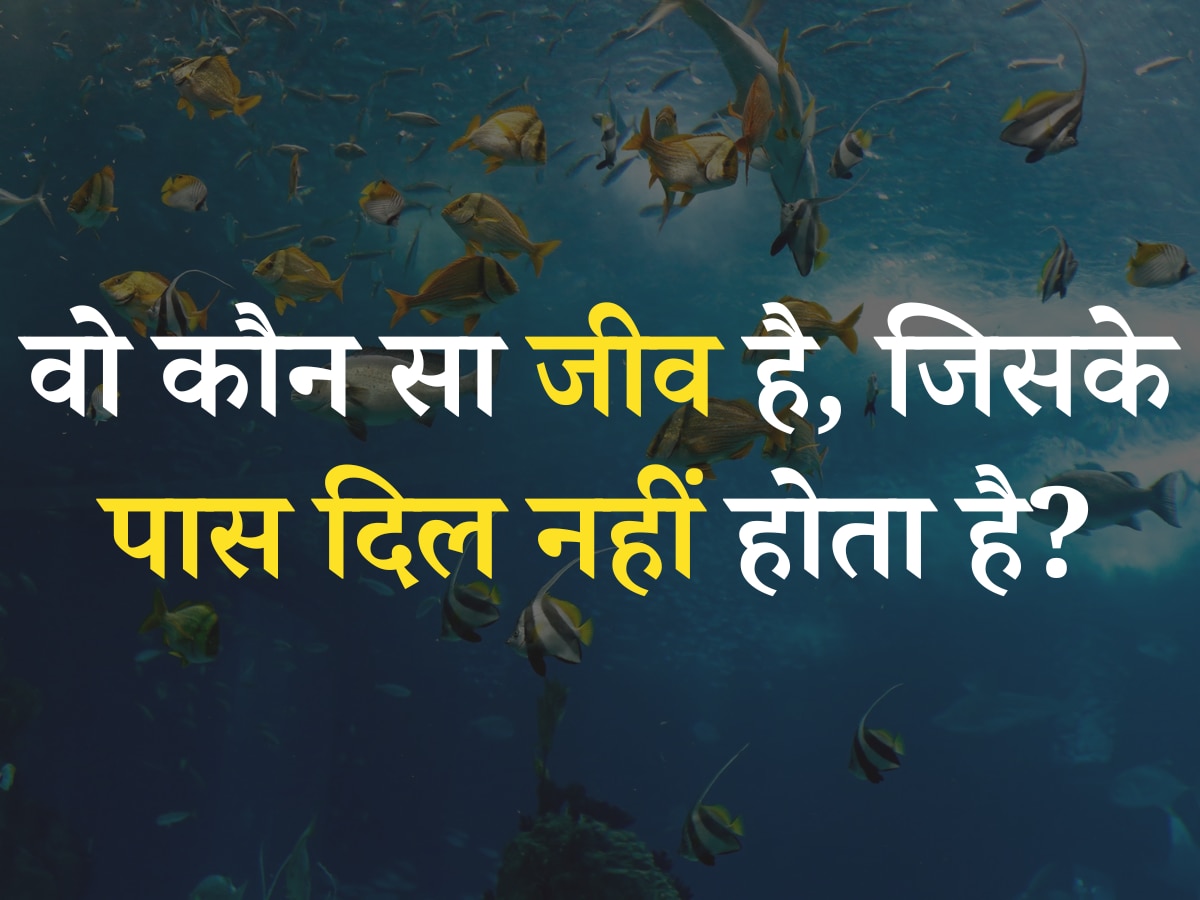 Quiz- बताएं आखिर ऐसा कौन सा जीव है, जिसके पास दिल नहीं होता?