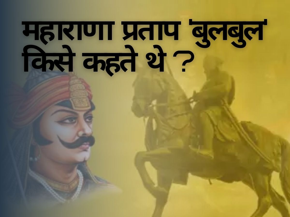 Quiz: आखिर कौन थी महाराणा प्रताप की 'बुलबुल', क्या आप जानते हैं इस सवाल का जवाब?  