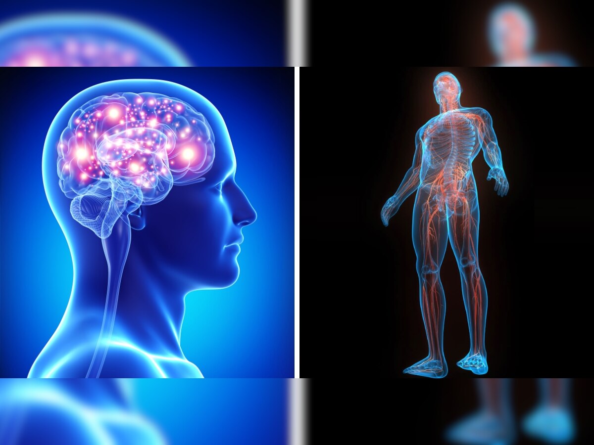 Proven Strategies for Relieving Arthritis Pain Hindi News, ये हैं