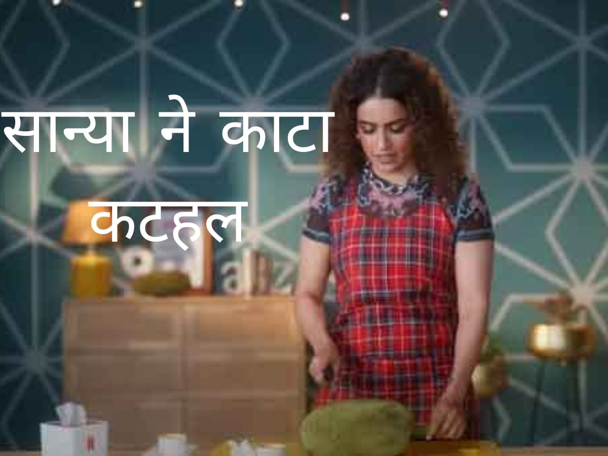 Sanya Malhotra: हाथों पर लगाया तेल और काटा कटहल, पर एक्ट्रेस के कुकिंग शो में हो गई ये बड़ी गड़बड़!