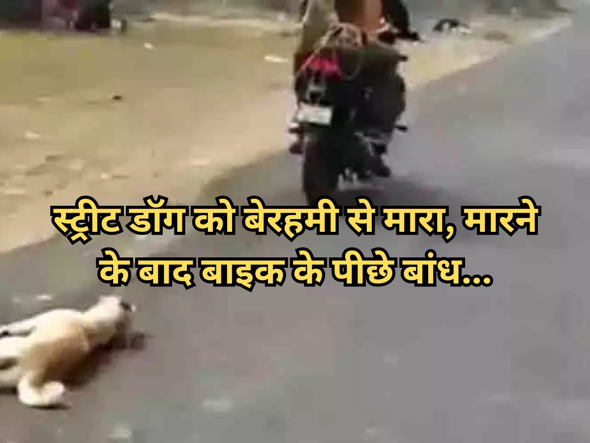 जयपुर: स्ट्रीट डॉग को पीट-पीटकर मार डाला, मारने के बाद बाइक के पीछे बांध कचरे के ढेर में फेंका
