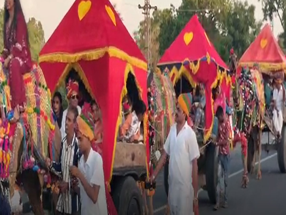 Bhim Rajsamand Image Rajsamand Bhim news grand procession on camel carts of Salvi society ...