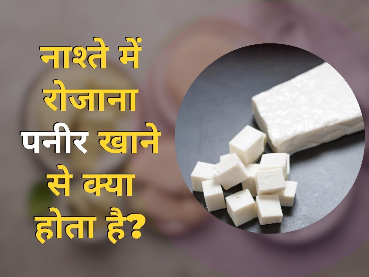 Paneer Benefits: नाश्ते में रोजाना खाएं कच्चा पनीर, फायदे जानकर हैरान हो जाएंगे आप