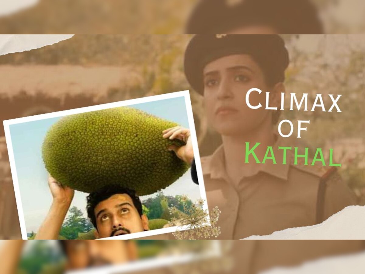 Kathal Movie Climax: कहीं पर निगाहें, कहीं पर निशाना लगा बैठीं Sanya Malhotra, आखिर कौन निकला कटहल चोर!