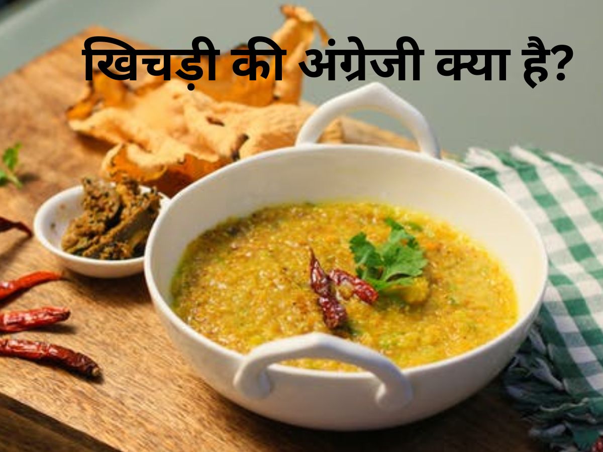 Khij english word for khichdi you will shock to know | खिचड़ी को अंग्रेजी ...