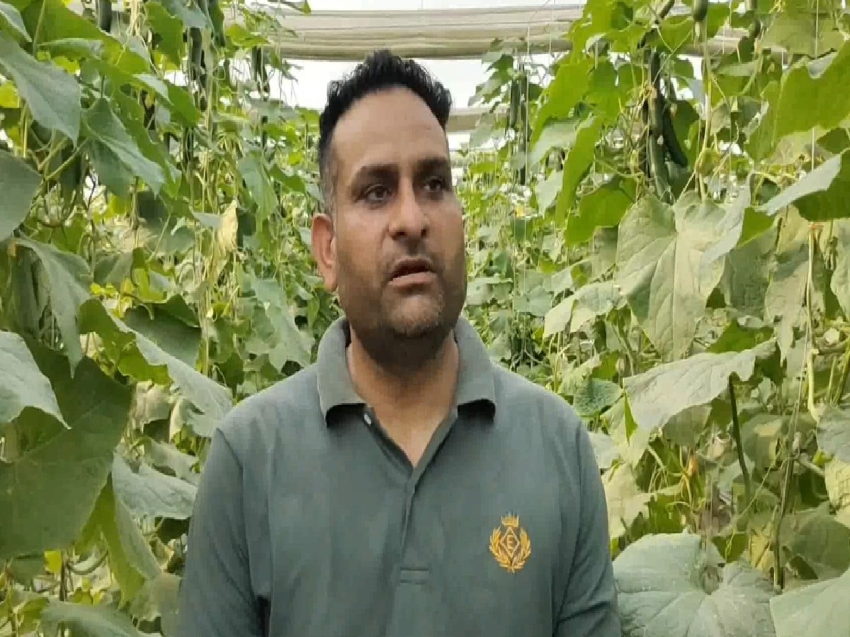 Haryana Farmer News: हजारों की सरकारी नौकरी छोड़ युवक बना किसान, अब कमा रहा लाखों रुपये
