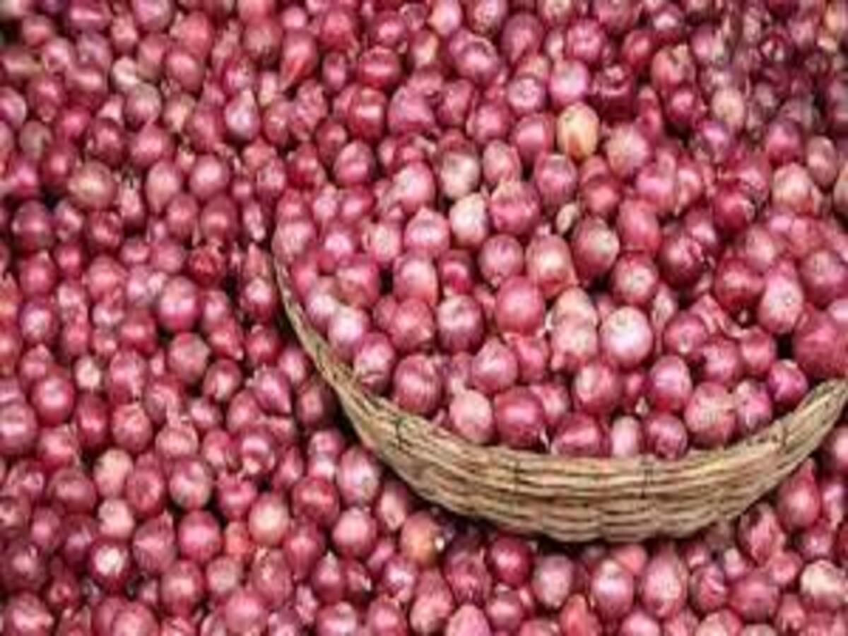 Onion Price: ମିଳିଲାନି ଚାହିଦା ମୁତାବକ ମୂଲ୍ୟ; ଲୋକଙ୍କୁ ମାଗଣାରେ ପିଆଜ ବାଣ୍ଟିଲେ କୃଷକ Onion Price: ମିଳିଲାନି ଚାହିଦା ମୁତାବକ ମୂଲ୍ୟ; ଲୋକଙ୍କୁ ମାଗଣାରେ ପିଆଜ ବାଣ୍ଟିଲେ କୃଷକ
