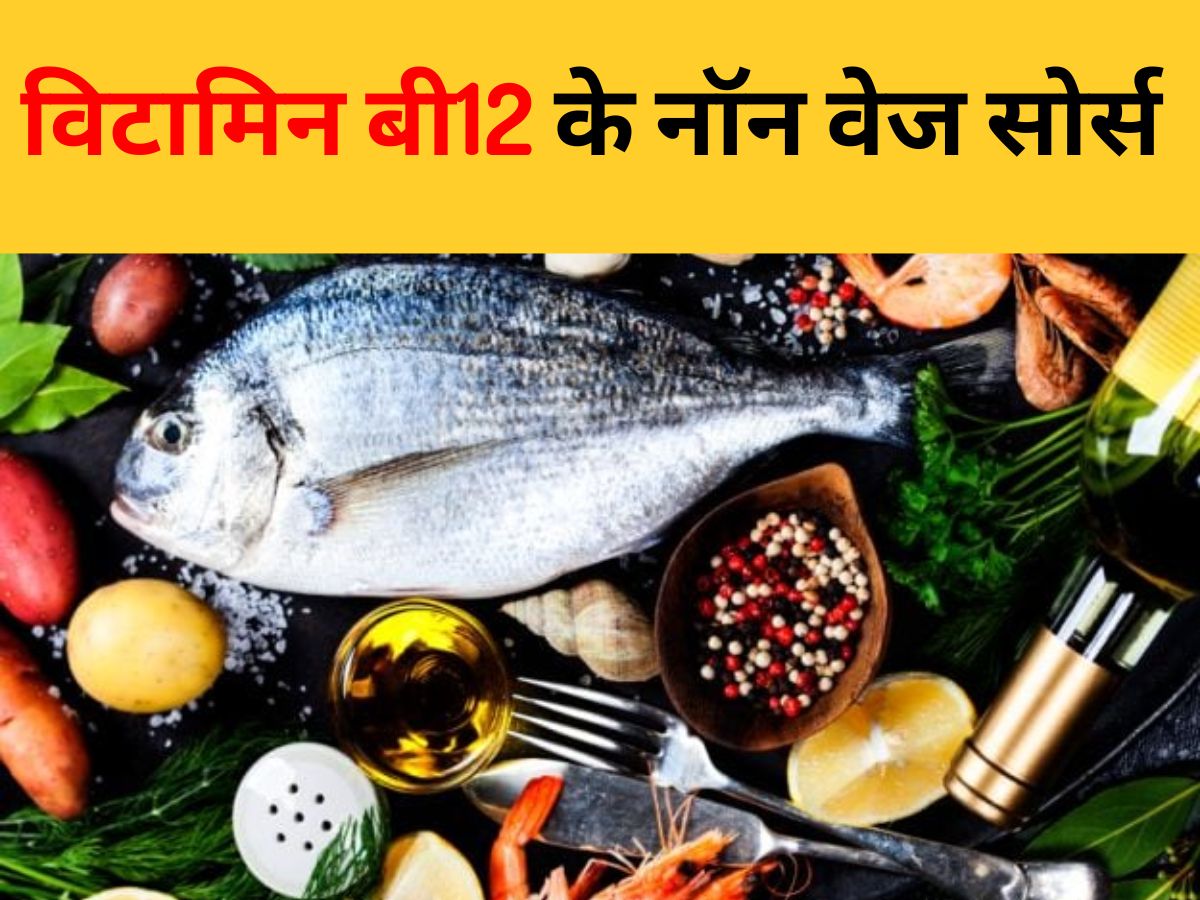 Vitamin B12 NonVeg Sources Clams Red Meat Salmon Egg Animal Liver And Kidney Mansahari Bhojan