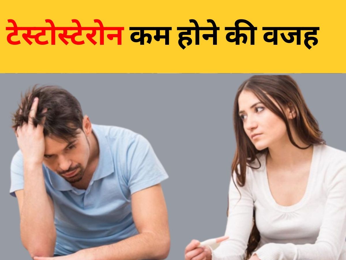 Low Testosterone: मर्दों को क्यों हो जाती है टेस्टोस्टेरोन की कमी? इन आदतों को बदलें वरना पिता बनना होगा मुश्किल