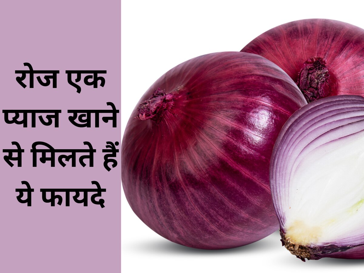 Onion Benefits: रोजाना एक प्याज खाने से ब्लड शुगर रहता है कंट्रोल, शरीर को मिलते हैं ये फायदे