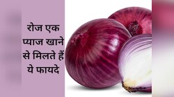 रोजाना एक प्याज खाने से ब्लड शुगर रहता है कंट्रोल, शरीर को मिलते हैं ये फायदे