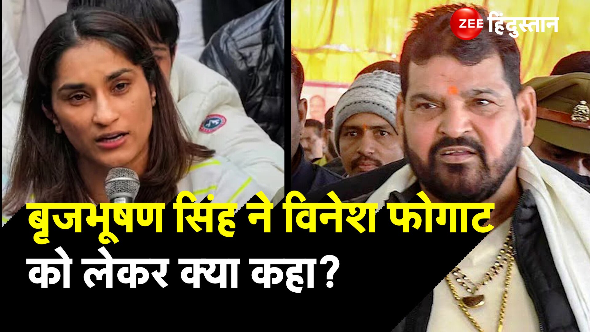 I am ready to fight Brij bhushan Singh gave statement regarding Vinesh