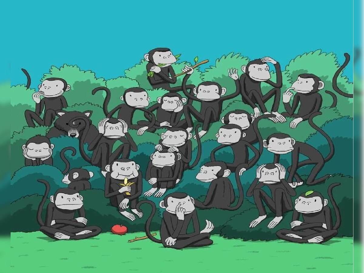 Optical Illusion: केवल जीनियस की खोज सकते हैं बंदरों के बीच छिपा भालू, आपको मिला क्या?