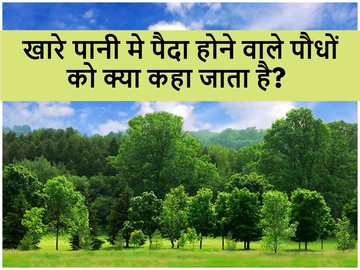 Quiz: खारे पानी मे पैदा होने वाले पौधों को क्या कहा जाता है?