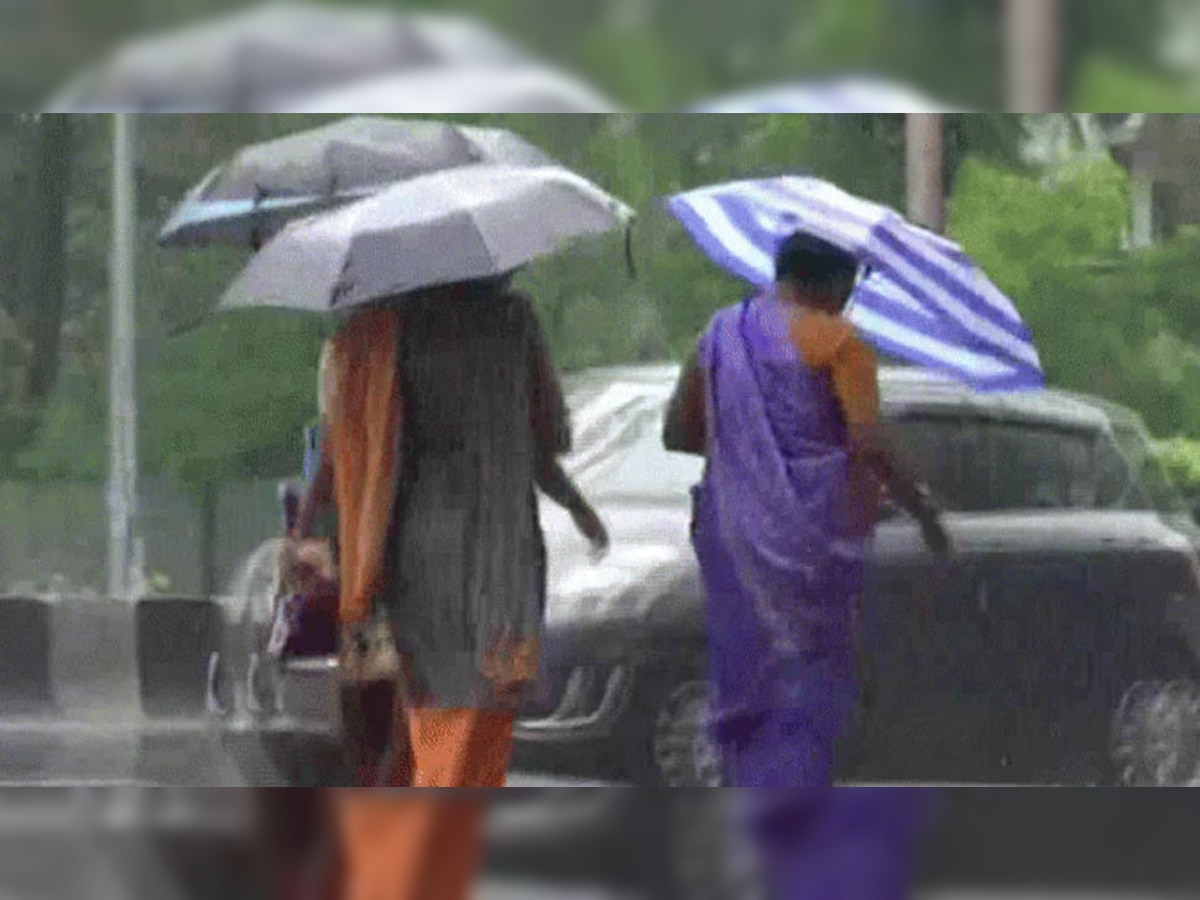 MP Rain alert: नौतपा में मौसम विभाग ने जारी किया बारिश का अलर्ट, इन जिलों बरसेंगे बादल