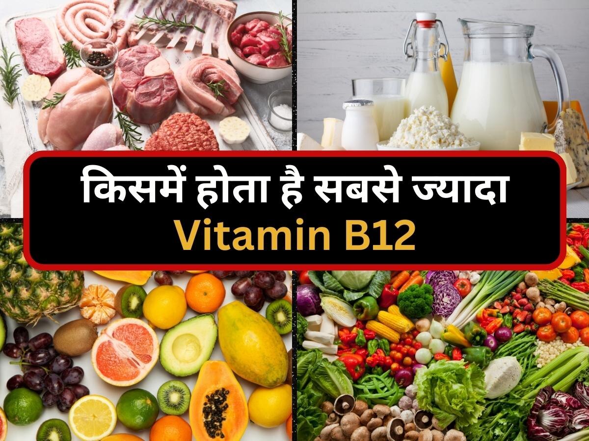 Vitamin B12: जानिए किस फूड में होता है सबसे ज्यादा विटामिन बी12, कमी होने पर शरीर में दिखते हैं ऐसे लक्षण
