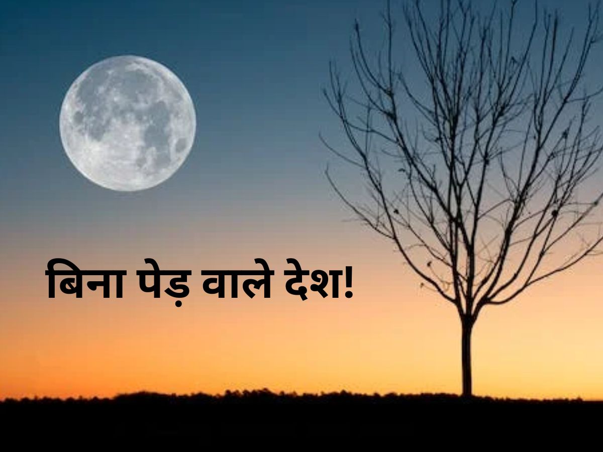 Tree: दुनिया के ऐसे देश जहां एक भी पेड़ नहीं हैं, नाम सुनकर चौंक जाएंगे आप..जान लीजिए Tree: दुनिया के ऐसे देश जहां एक भी पेड़ नहीं हैं, नाम सुनकर चौंक जाएंगे आप..जान लीजिए