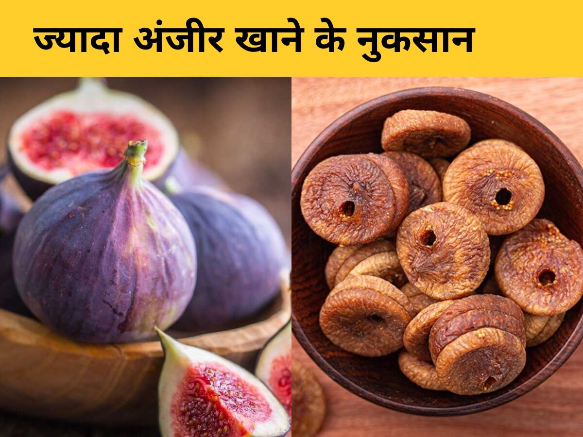 Fig Side Effects: हद से ज्यादा क्यों नहीं खाना चाहिए अंजीर? जानिए इसके 5 बड़े नुकसान