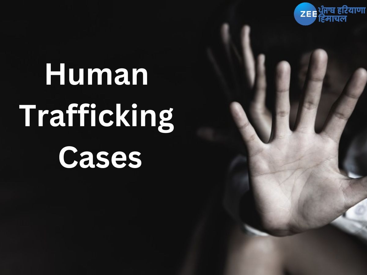 Human Trafficking Cases: ਮਨੁੱਖੀ ਤਸਕਰੀ ਤੇ ਫਰਜ਼ੀ ਏਜੰਟਾਂ ਖਿਲਾਫ ਪੰਜਾਬ ਸਰਕਾਰ ਨੇ ਬਣਾਈ SIT, ਹੁਣ ਤੁਰੰਤ ਹੋਵੇਗਾ ਐਕਸ਼ਨ