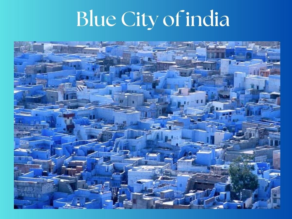 GK: India में 'Blue City' के नाम से मशहूर शहर का नाम बताइए, तो जानें
