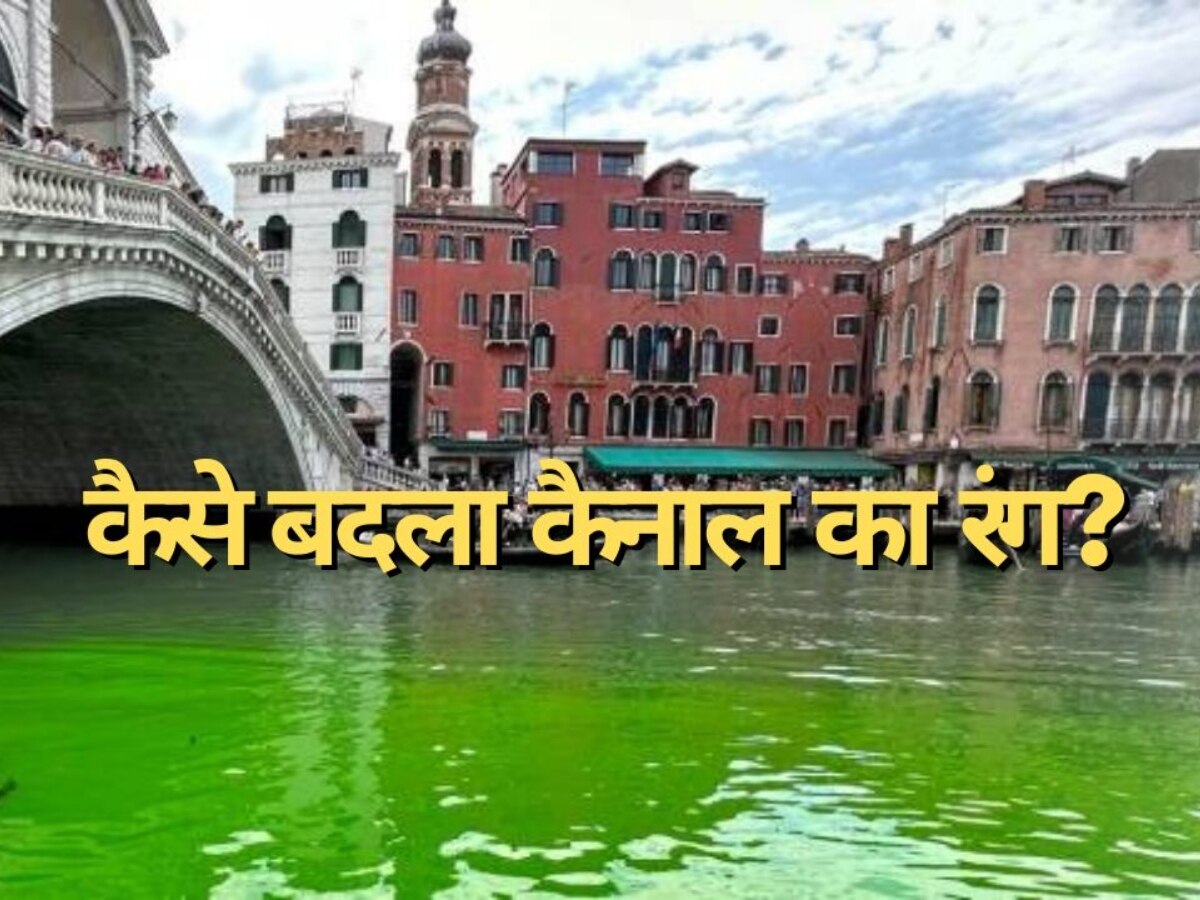 Venice Grand Canal: अरे बाप रे! वेनिस के ग्रैंड कैनाल ने अचानक बदला रंग, हरा हो गया पानी; लोगों के उड़े होश