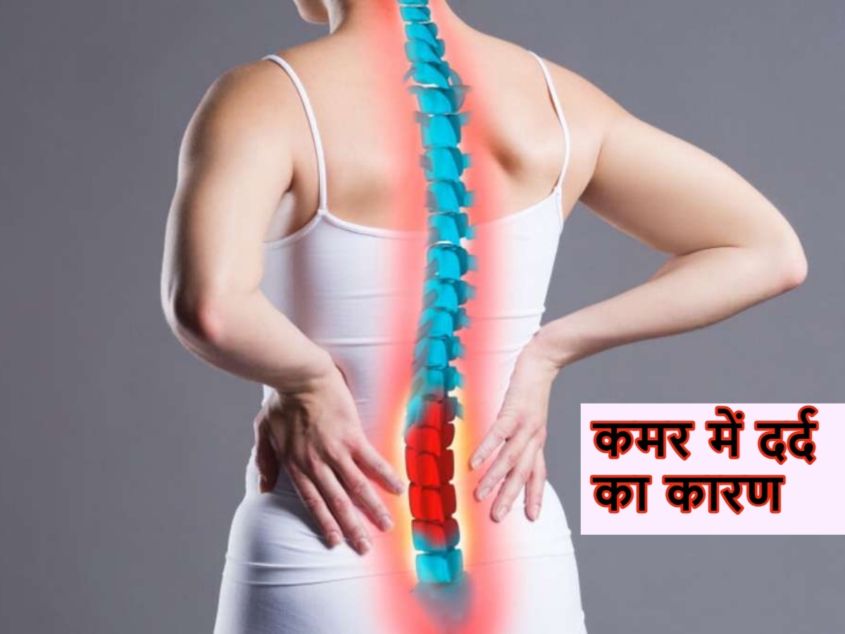 Back Pain Treatment: कमर दर्द की समस्या ने कर दिया है परेशान? जानें कैसे मिलेगा छुटकारा 