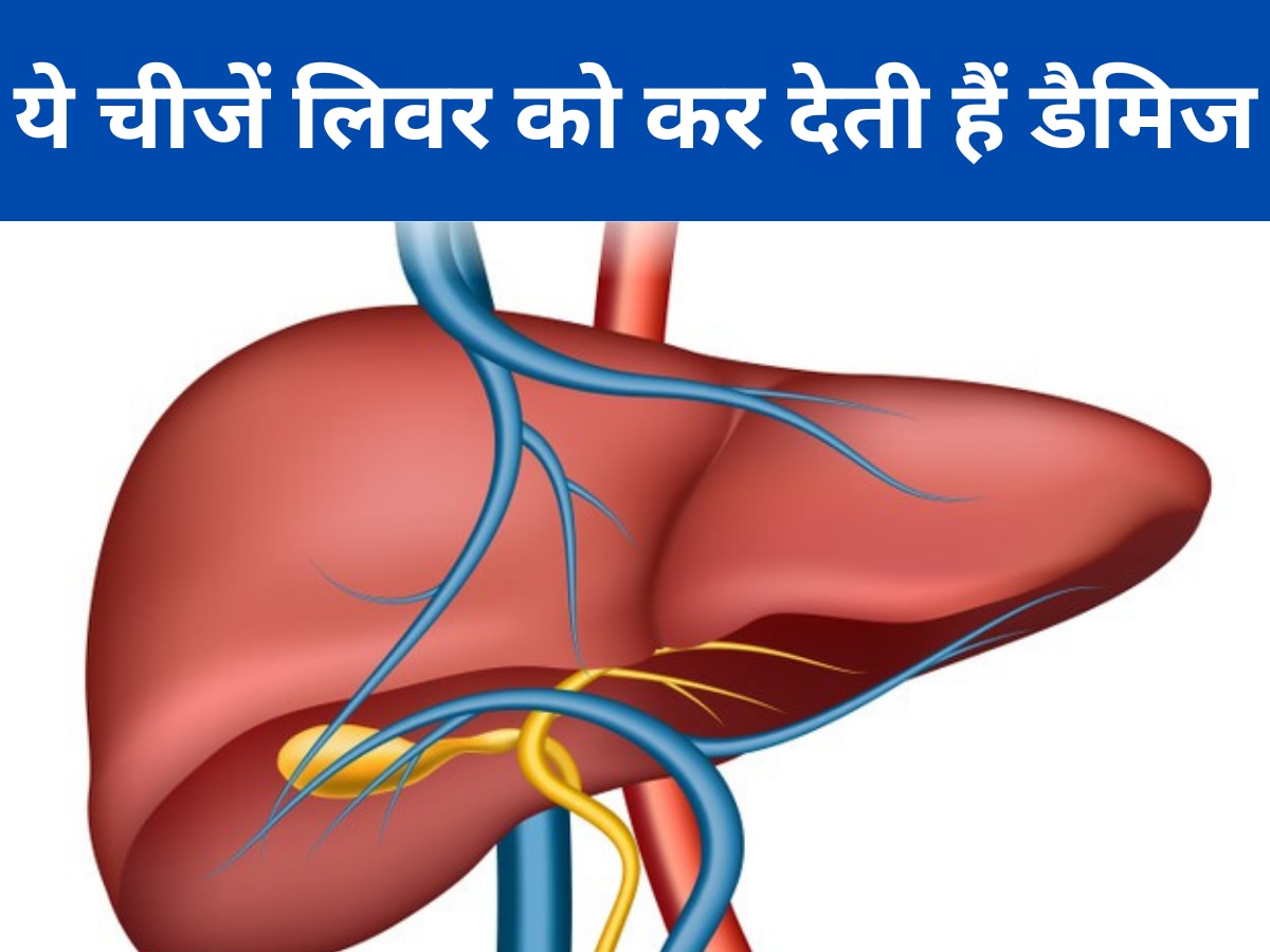 Liver Health: रोज खाने वाली ये चीजें लिवर को कर देती हैं डैमिज, आज ही करें डाइट से बाहर