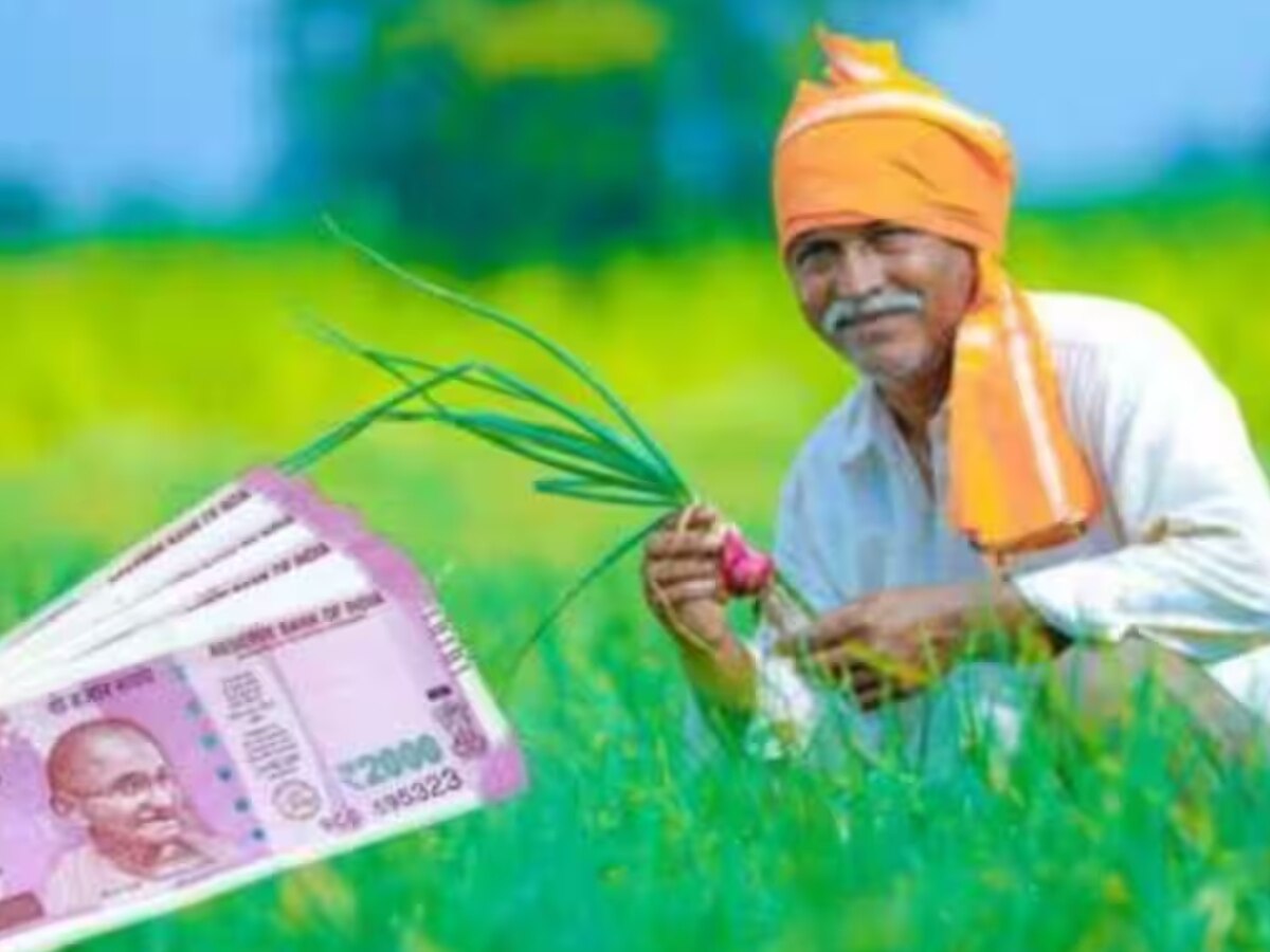 PM Kisan: पीएम किसान की 14वीं किस्त से जुड़ी आई बड़ी अपडेट! स्कीम से हटाया जा रहा इन लोगों का नाम