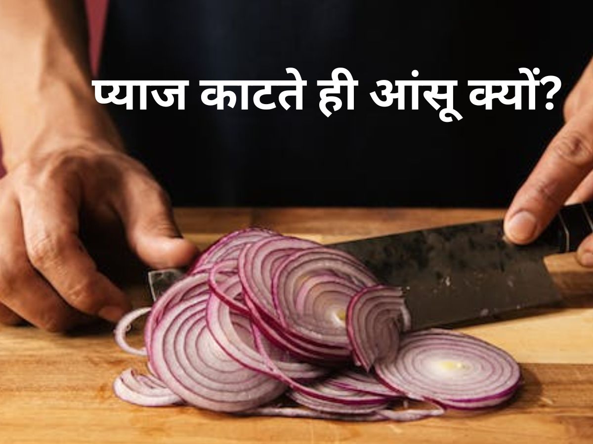 why tears come while cutting onions know the reason Onion प्याज