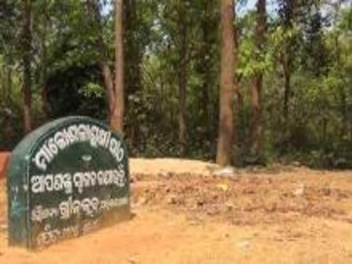 Khordha Tourist Places: ପର୍ଯ୍ୟଟନ ସ୍ଥଳୀର ମାନ୍ୟତା ମିଳିଥିଲେ ମଧ୍ୟ ପର୍ଯ୍ୟଟନ ବିଭାଗର ଆଢୁଆଳରେ କୋଶଳାଶୁଣୀ ପୀଠ Khordha Tourist Places: ପର୍ଯ୍ୟଟନ ସ୍ଥଳୀର ମାନ୍ୟତା ମିଳିଥିଲେ ମଧ୍ୟ ପର୍ଯ୍ୟଟନ ବିଭାଗର ଆଢୁଆଳରେ କୋଶଳାଶୁଣୀ ପୀଠ
