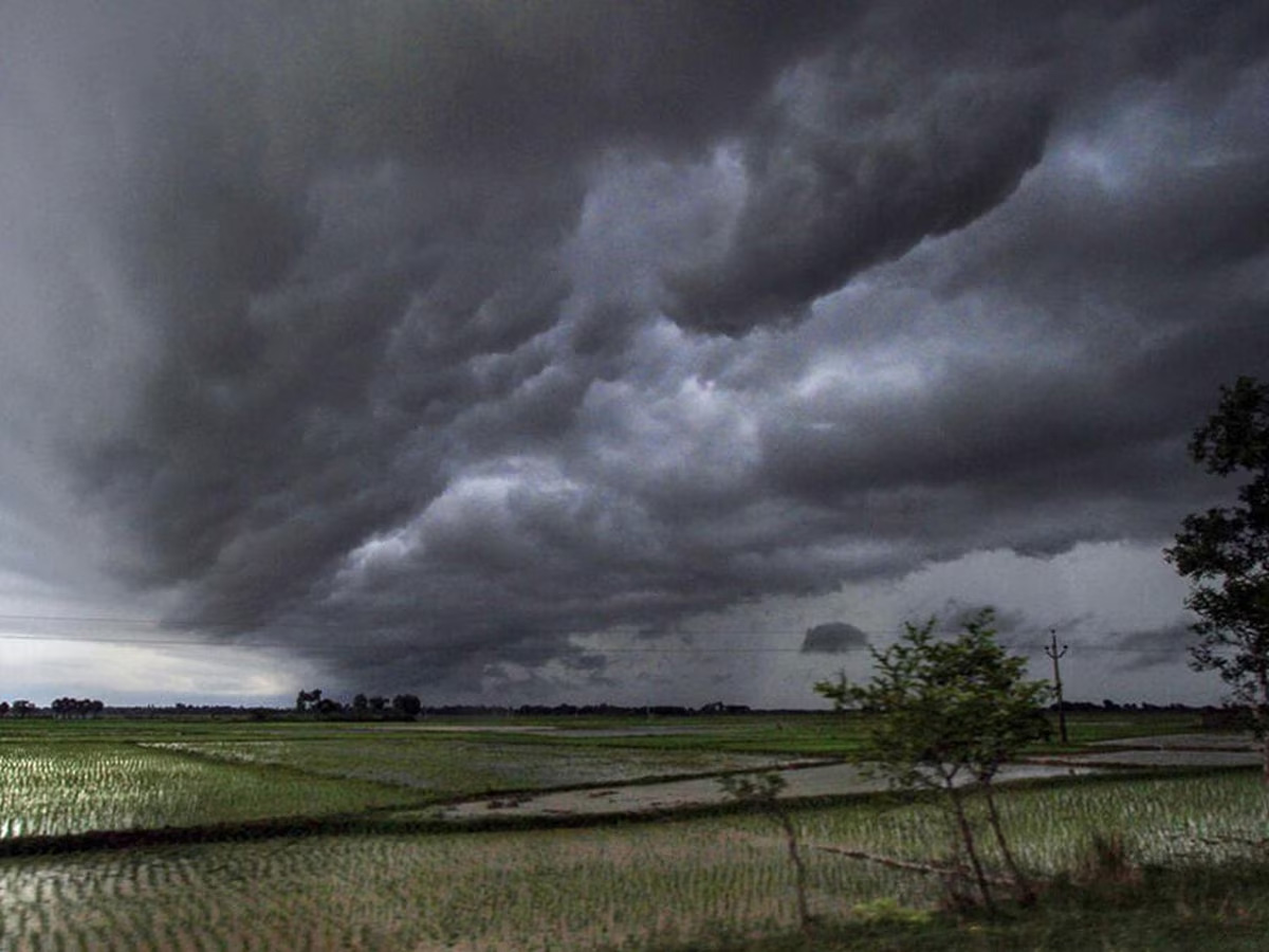 Monsoon: ମୌସୂମୀକୁ ନେଇ ଆସିଲା ବଡ଼ ଅପଡେଟ, ଏହି ଦିନ କେରଳ ଛୁଇଁବ Monsoon: ମୌସୂମୀକୁ ନେଇ ଆସିଲା ବଡ଼ ଅପଡେଟ, ଏହି ଦିନ କେରଳ ଛୁଇଁବ