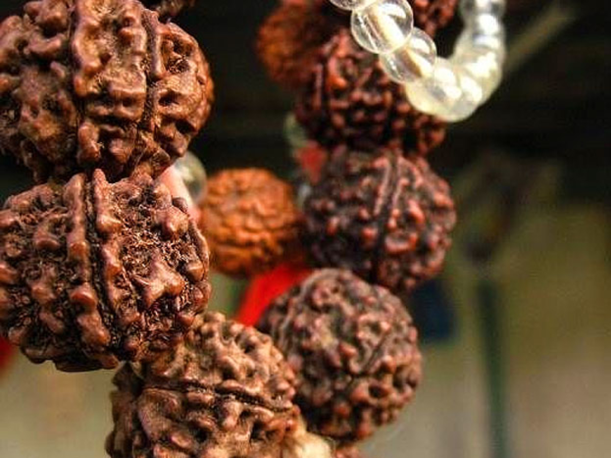 Mala Jaap Ke Niyam: रुद्राक्ष की माला जप करते वक्त इन बातों का रखें ध्यान, जानें सही नियम Mala Jaap Ke Niyam: रुद्राक्ष की माला जप करते वक्त इन बातों का रखें ध्यान, जानें सही नियम