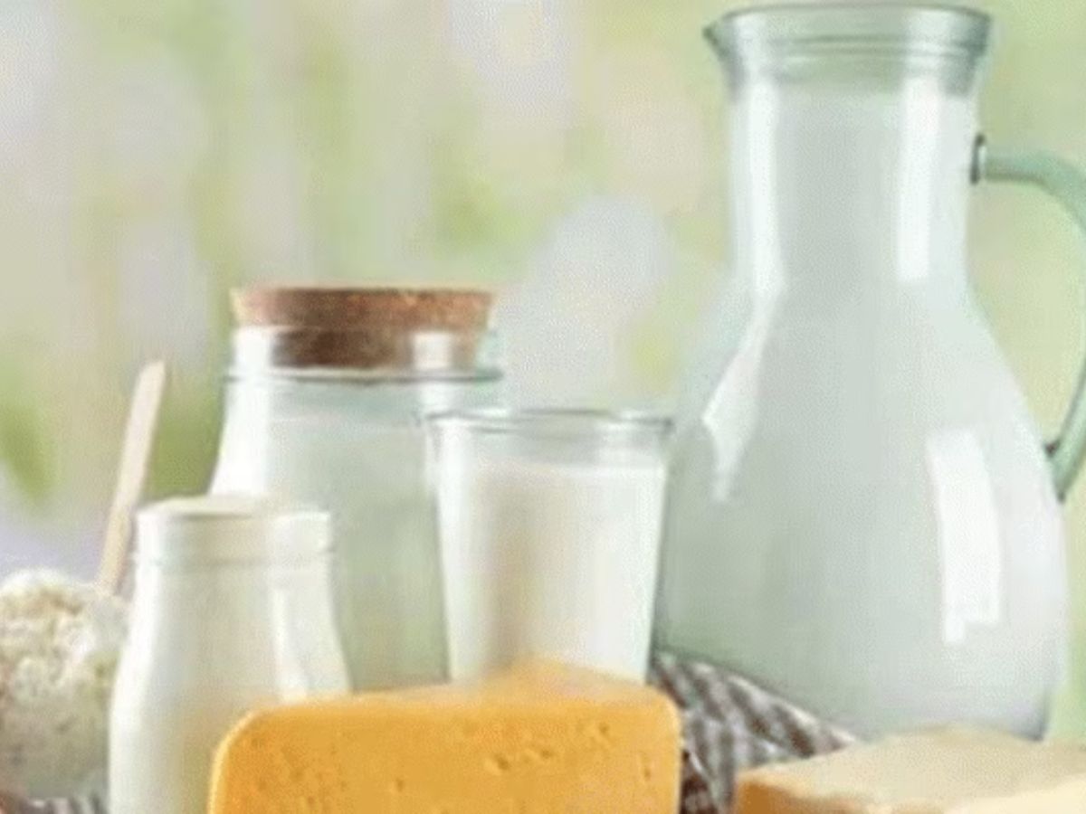 यूपी में डेयरी उद्योग से किसान होंगे मालामाल, इन जिलों के 190 आदर्श गांवों का चयन, मिलेंगी ये सुविधाएं यूपी में डेयरी उद्योग से किसान होंगे मालामाल, इन जिलों के 190 आदर्श गांवों का चयन, मिलेंगी ये सुविधाएं