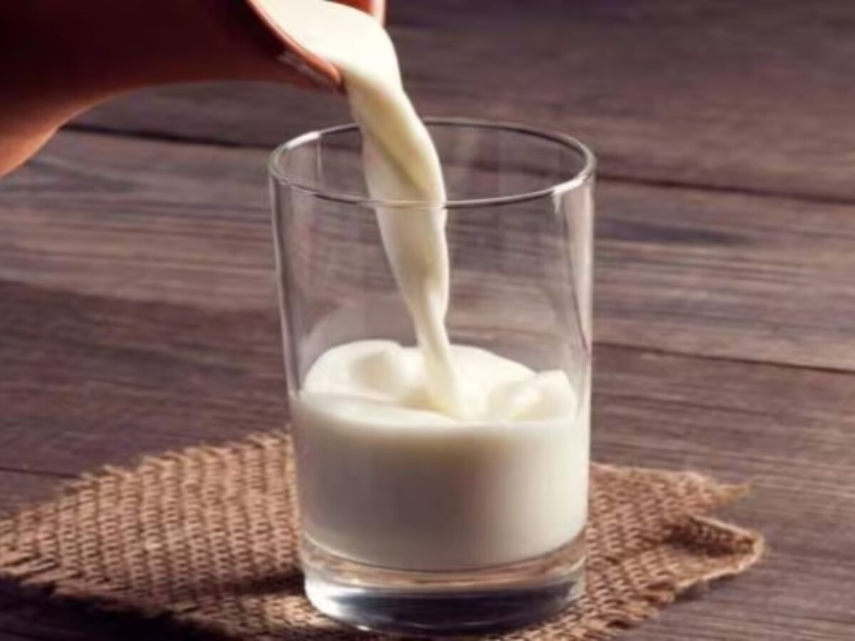 World Milk Day 2023 Date quotes benefits of drinking milk daily dudh