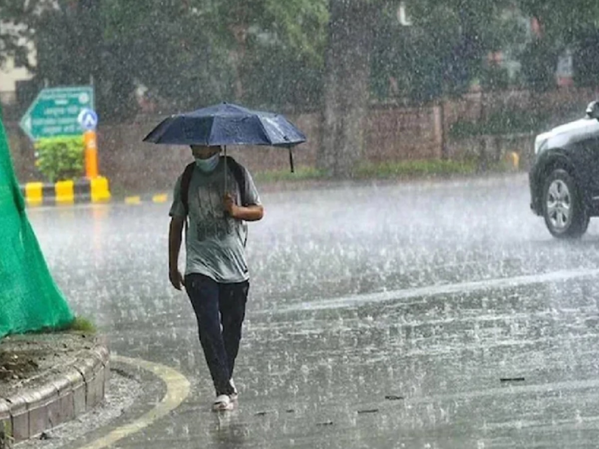 MP Weather News: MP में जारी हुआ बारिश का अलर्ट, छत्तीसगढ़ में ऐसा रहेगा मौसम, जानें पूर्वानुमान