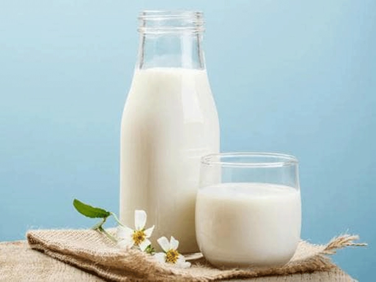 World Milk Day 2023: आखिर आज ही क्यों मनाया जाता है मिल्क डे; जानिए इतिहास 