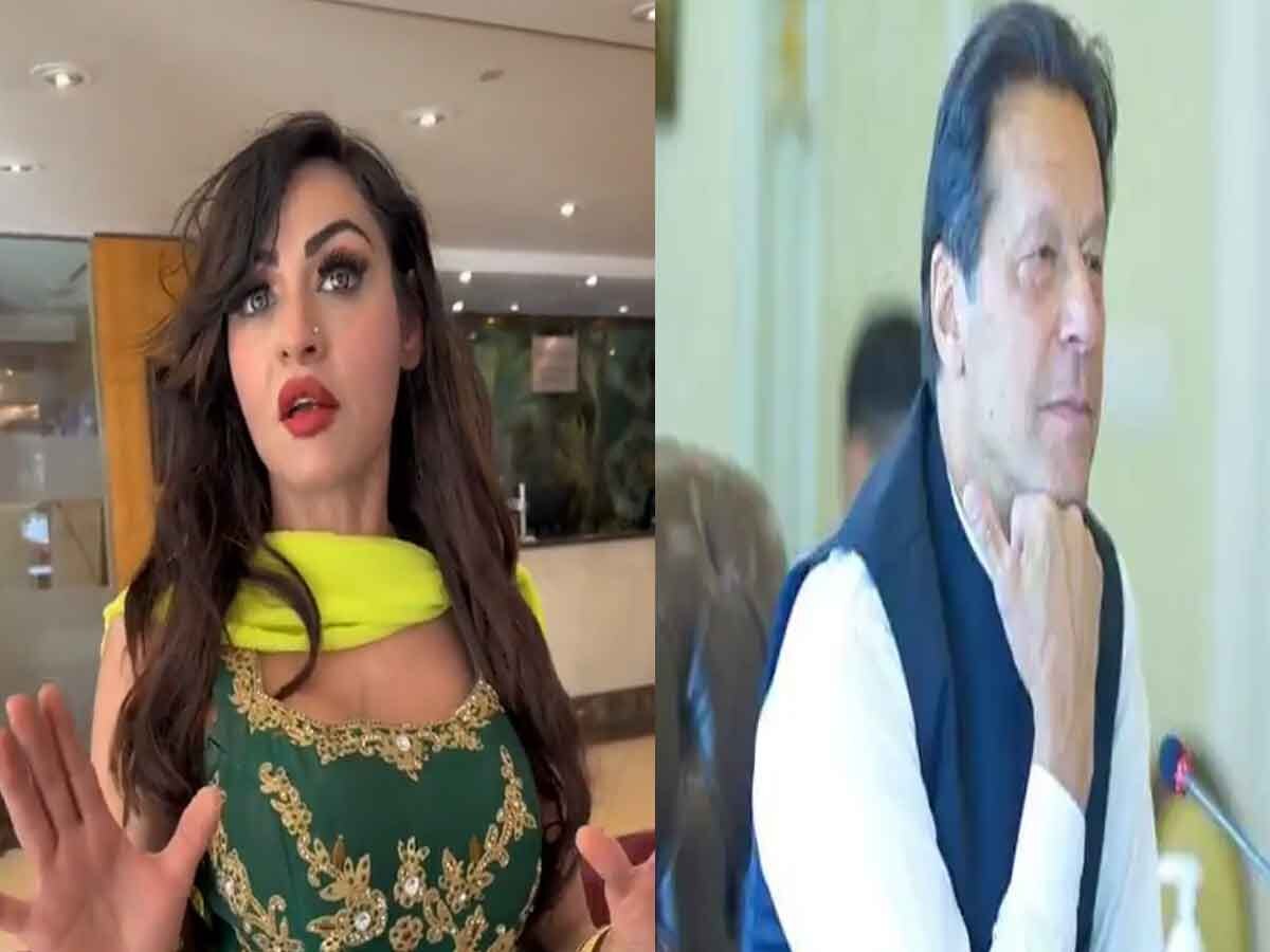 ‘इमरान खान को ग्लैमर की जरूरत’ – पाकिस्तान के पूर्व पीएम की चौथी पत्नी बनना चाहती है ये टिकटॉक स्टार 
