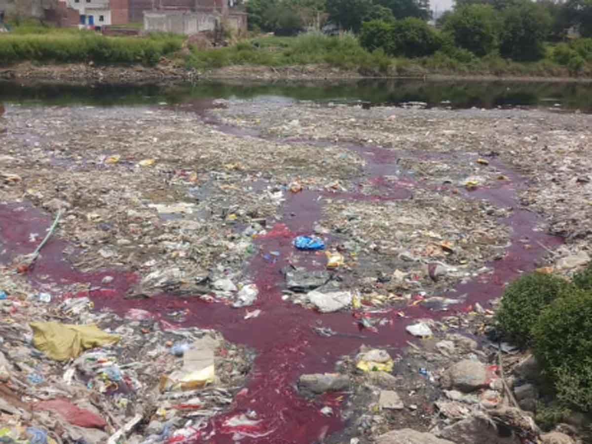 नोएडा की इस नदी के पानी का रंग क्यों हो गया लाल, जानें क्या है इसके पीछे की वजह नोएडा की इस नदी के पानी का रंग क्यों हो गया लाल, जानें क्या है इसके पीछे की वजह