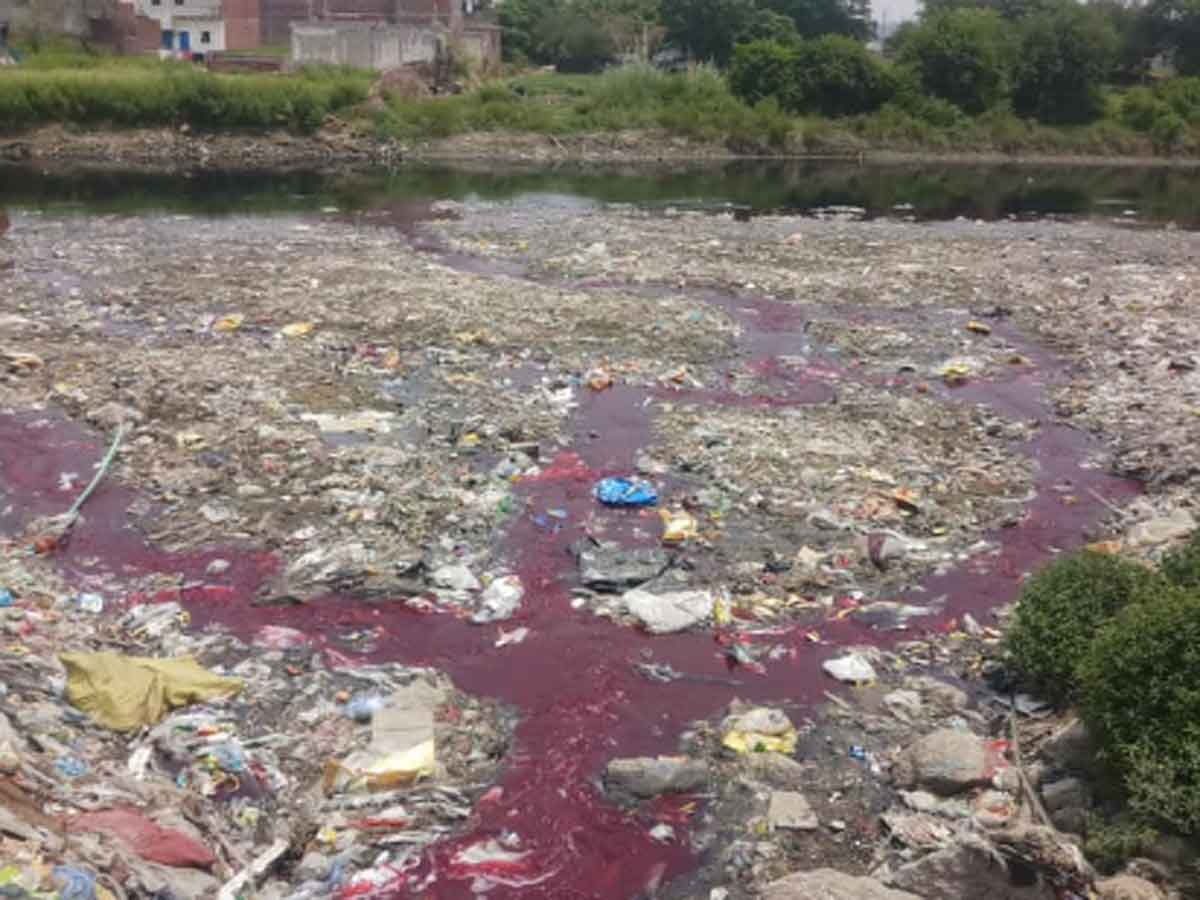 नोएडा की इस नदी के पानी का रंग क्यों हो गया लाल, जानें क्या है इसके पीछे की वजह