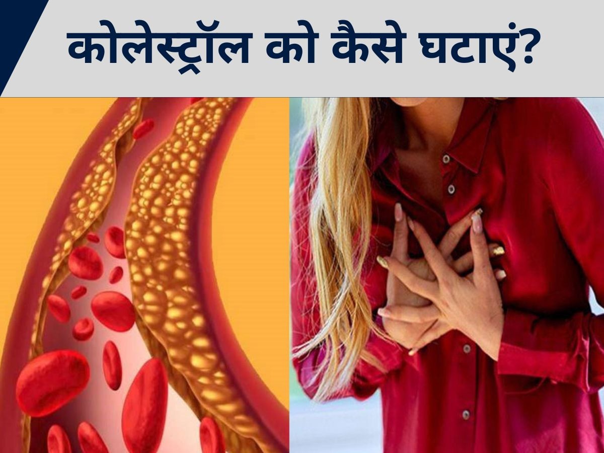 Cholesterol को जड़ से मिटा देंगे ये 4 हेल्दी ड्रिंक्स, नहीं रहेगा दिल की बीमारियों का खतरा