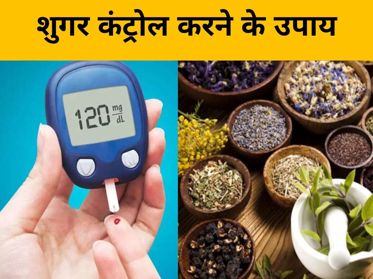 Diabetes के मरीजों के लिए राहत का जरिया हैं ये पौधे, नहीं बढ़ने देते शुगर लेवल